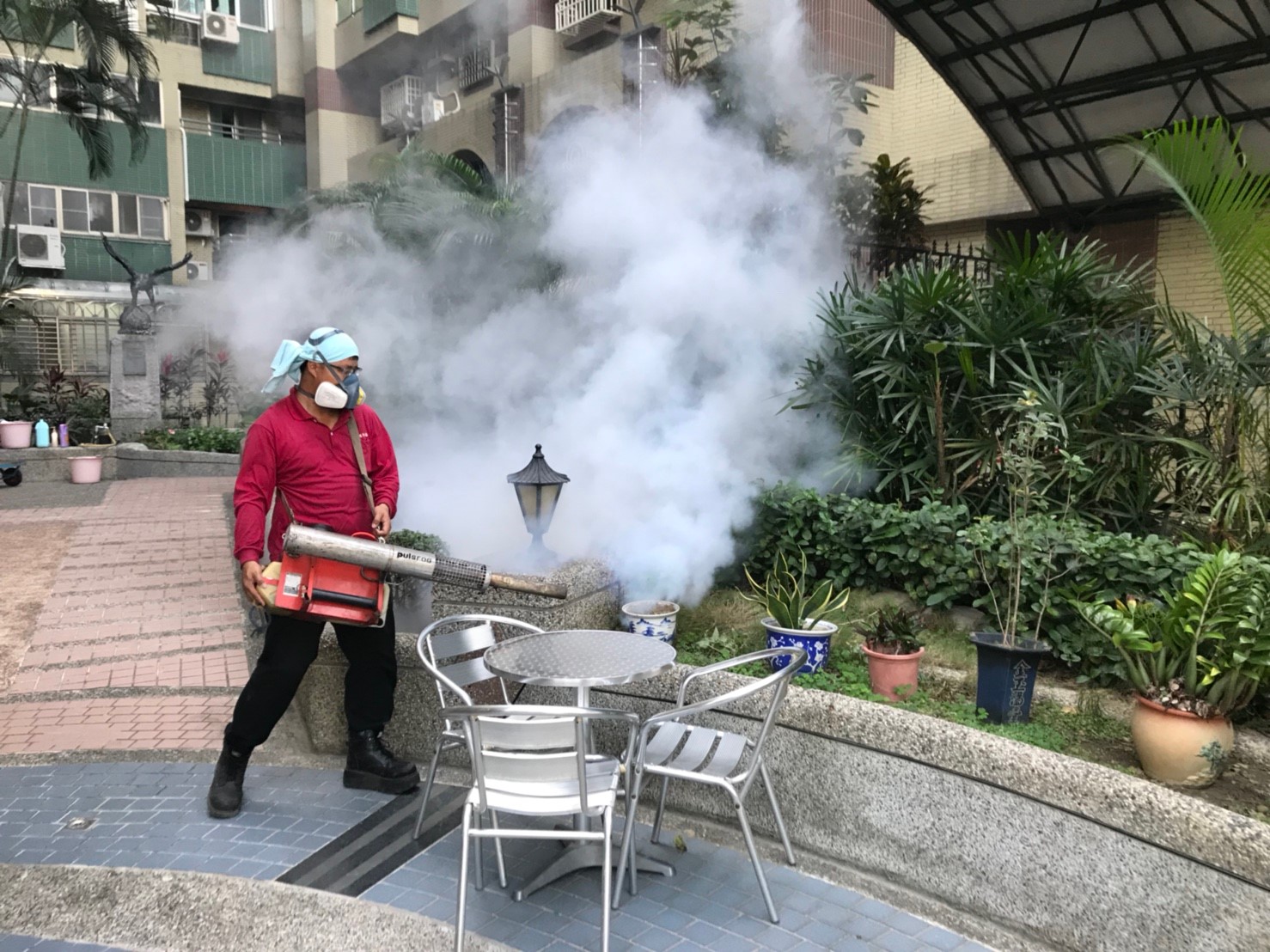 家族泰國自助遊　返國境外群聚感染登革熱...