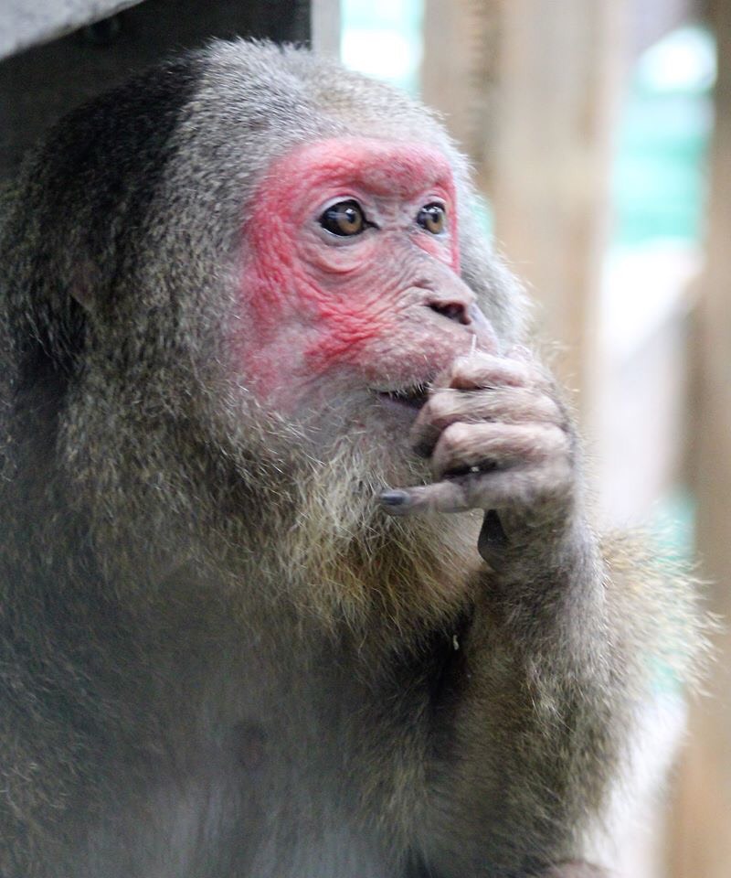 世界地球日　 壽山動物園邀您來輕食野餐愛地球...