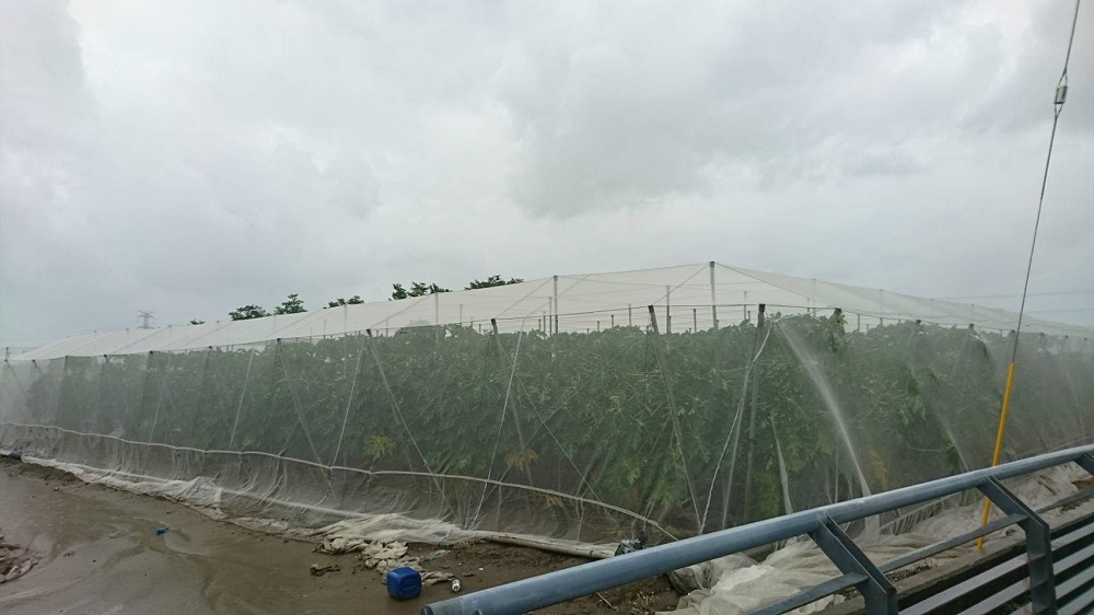 高雄農產警戒    梅雨鋒面影響恐有強降雨發生...