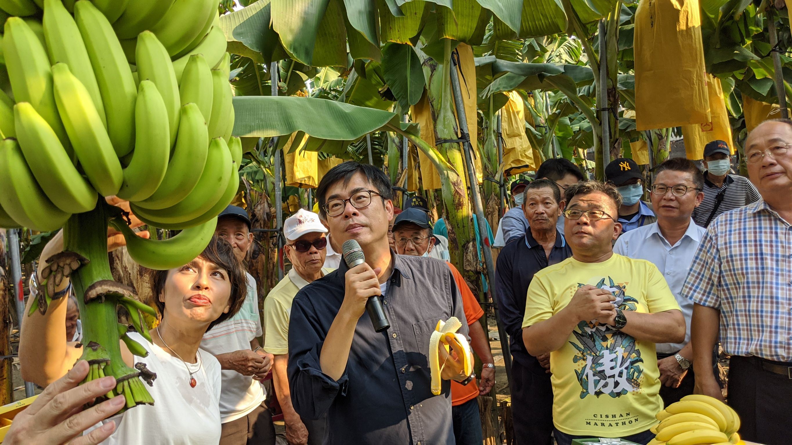 高市傾力協助蕉農  幫助產銷並穩定香蕉價格