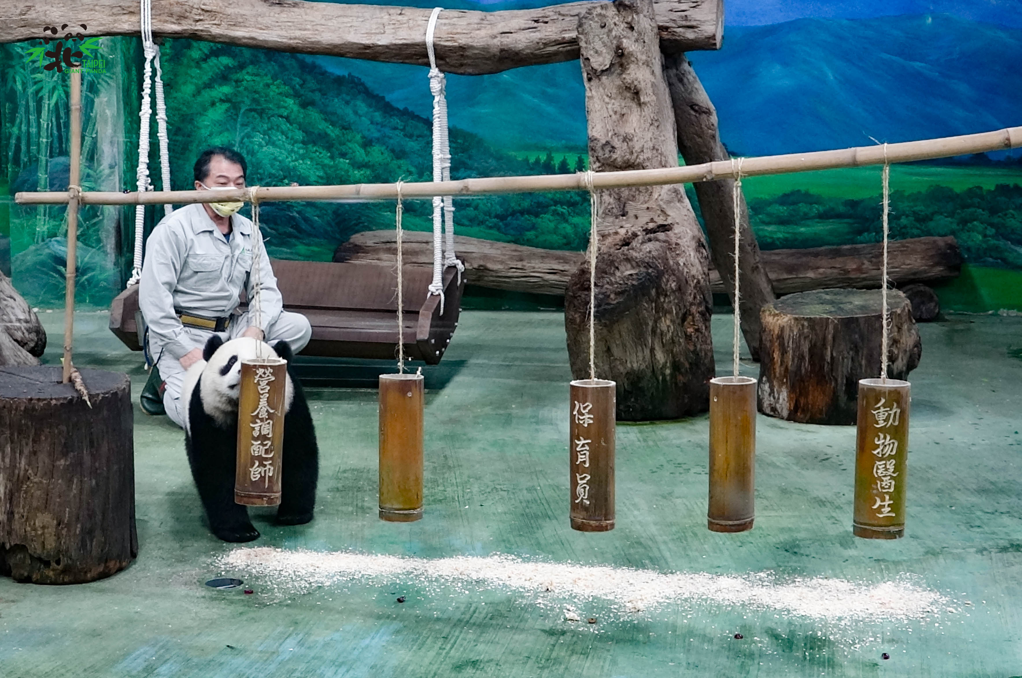 圓寶抓周線上直播 營養調配師獲得青睞...