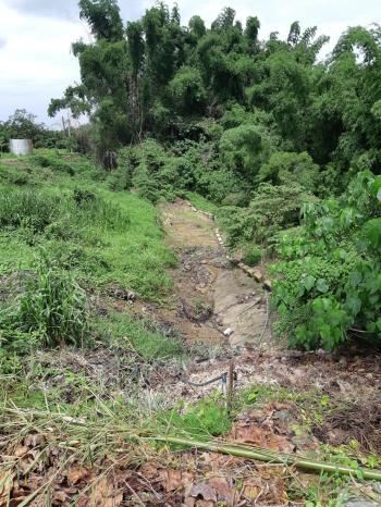 高雄市山區農路因豪雨損壞 農業局全力協助災害復建...