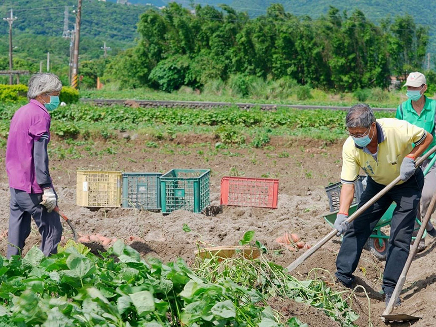 金山六三農再社區 打造水水田莊...