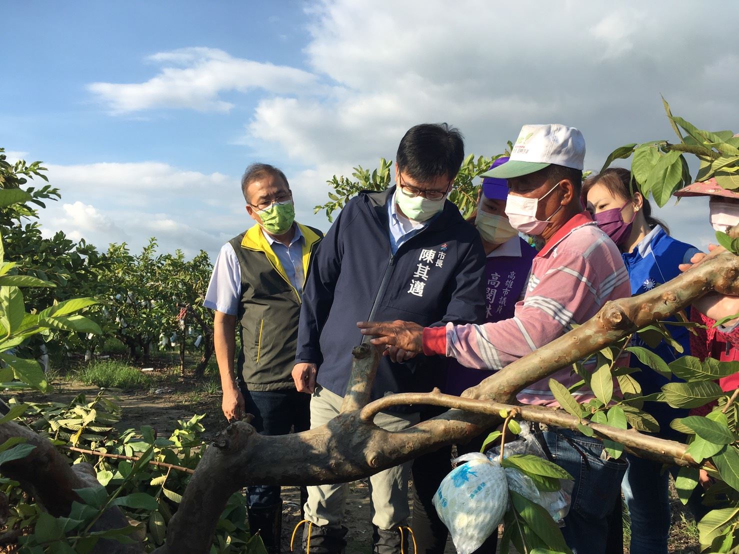 高雄芭樂農損顯現 高雄爭取納入免勘災損率項目...