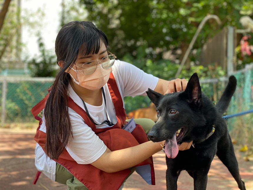 國際狗狗日  新北市鼓勵帶狗上班...