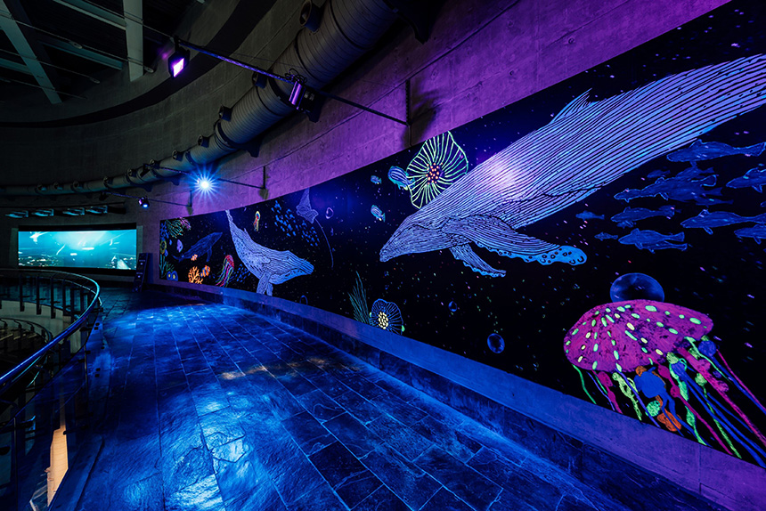 高雄體感業者攜手屏東海生館  打造「與鯨共舞」互動牆