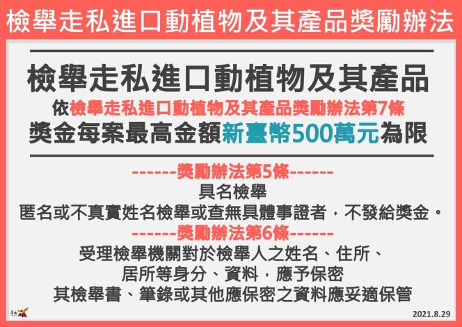 防範非洲豬瘟 南市祭出檢舉獎金杜絕走私豬肉...