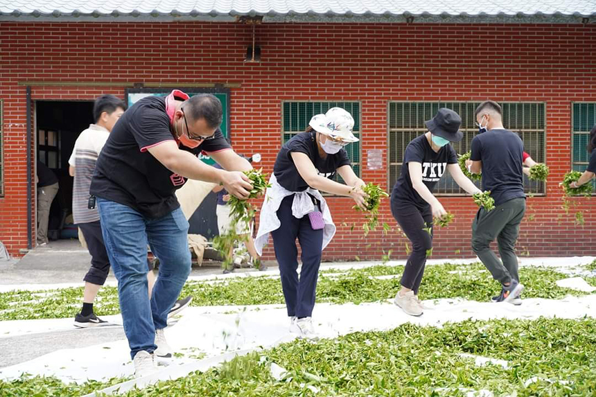 淡大師生走入茶園  攜手帶動石門創生...