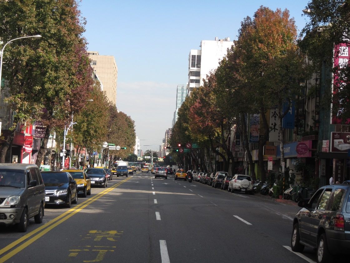低溫催紅楓香葉 北市街道景色換新妝