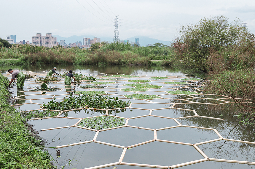 新北濕地藝術季  2022/1/8盛裝登場...