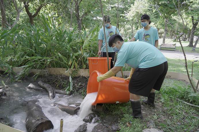 大安森林公園大理石紋螫蝦根除  螢火蟲棲地可望重生...