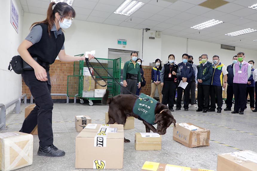 防非洲豬瘟春節入侵  黃偉哲視察國際郵件查驗流程...