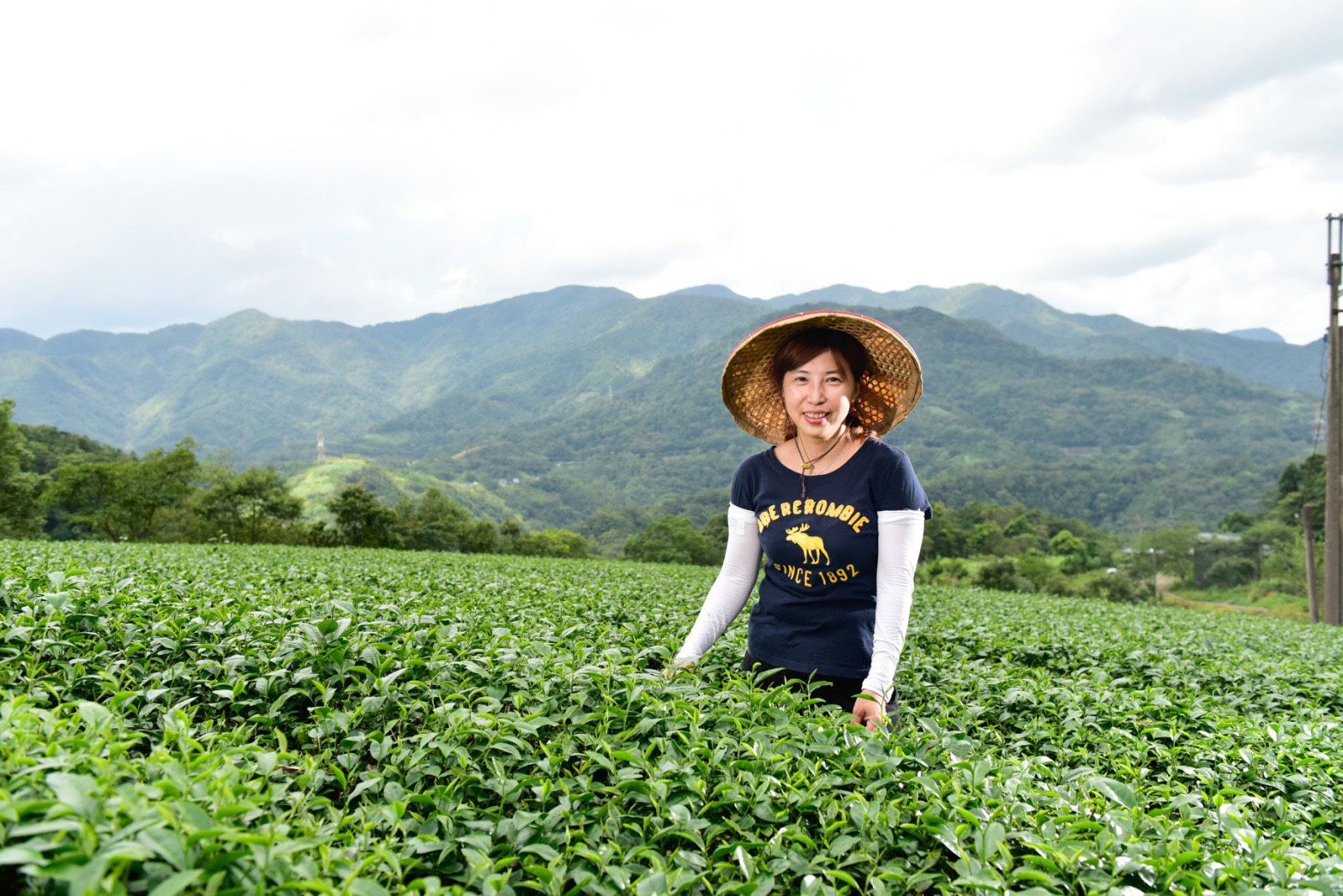 新北農村女力發威 東成茶葉轉型幕後的推手...