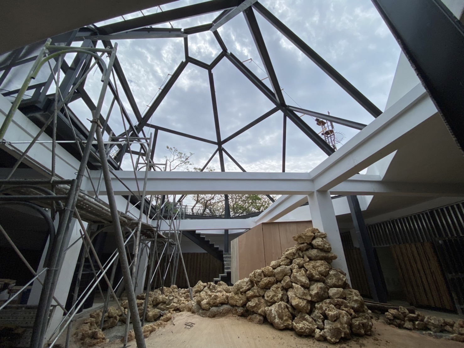 黑猩猩四月底歡喜入新厝  壽山動物園預計9月底10月初完工...