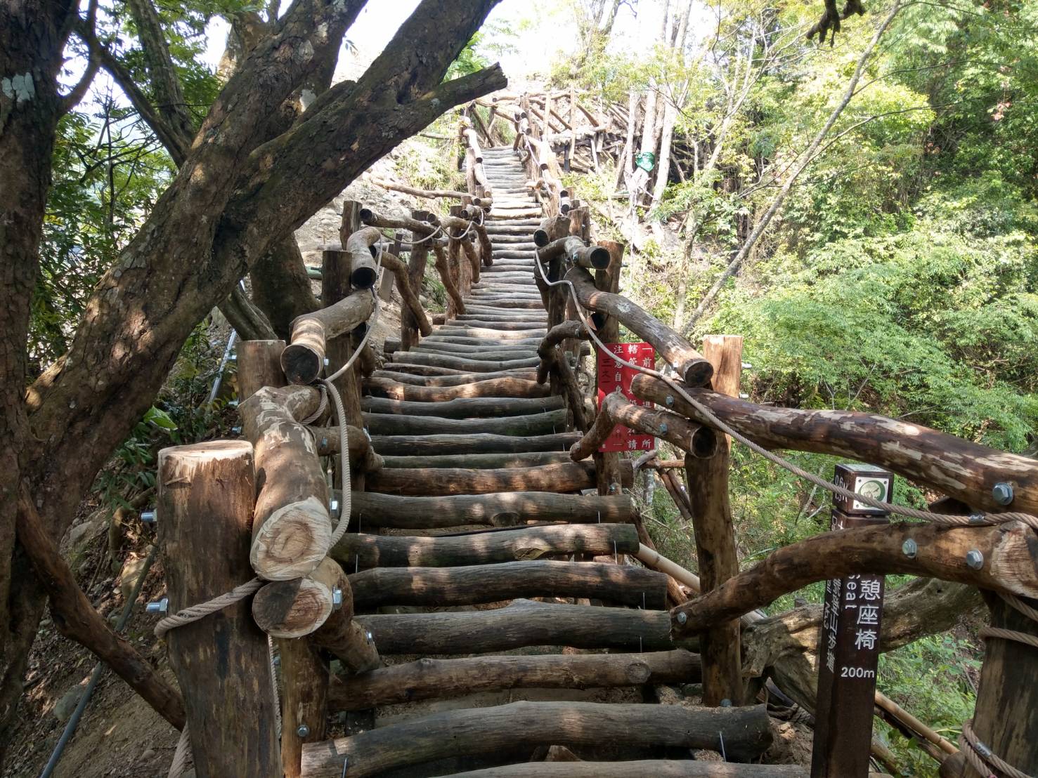 重新迎接山友！大坑3號步道今日開放通行...