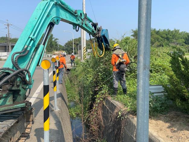 梅雨來了 市府再次加強修樹整備及清淤作業...