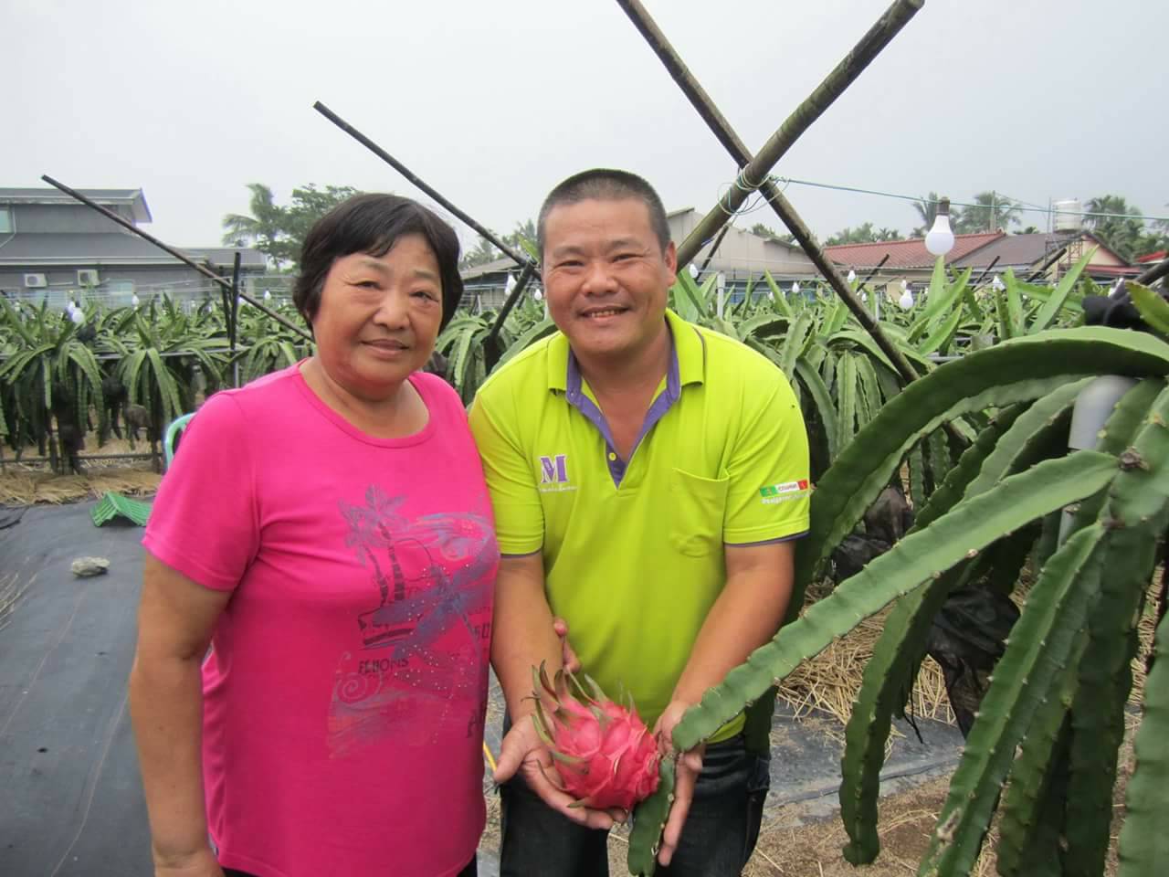 北捷生活事業創新猷 試辦「生鮮水果預購站取」新模式 嚴...