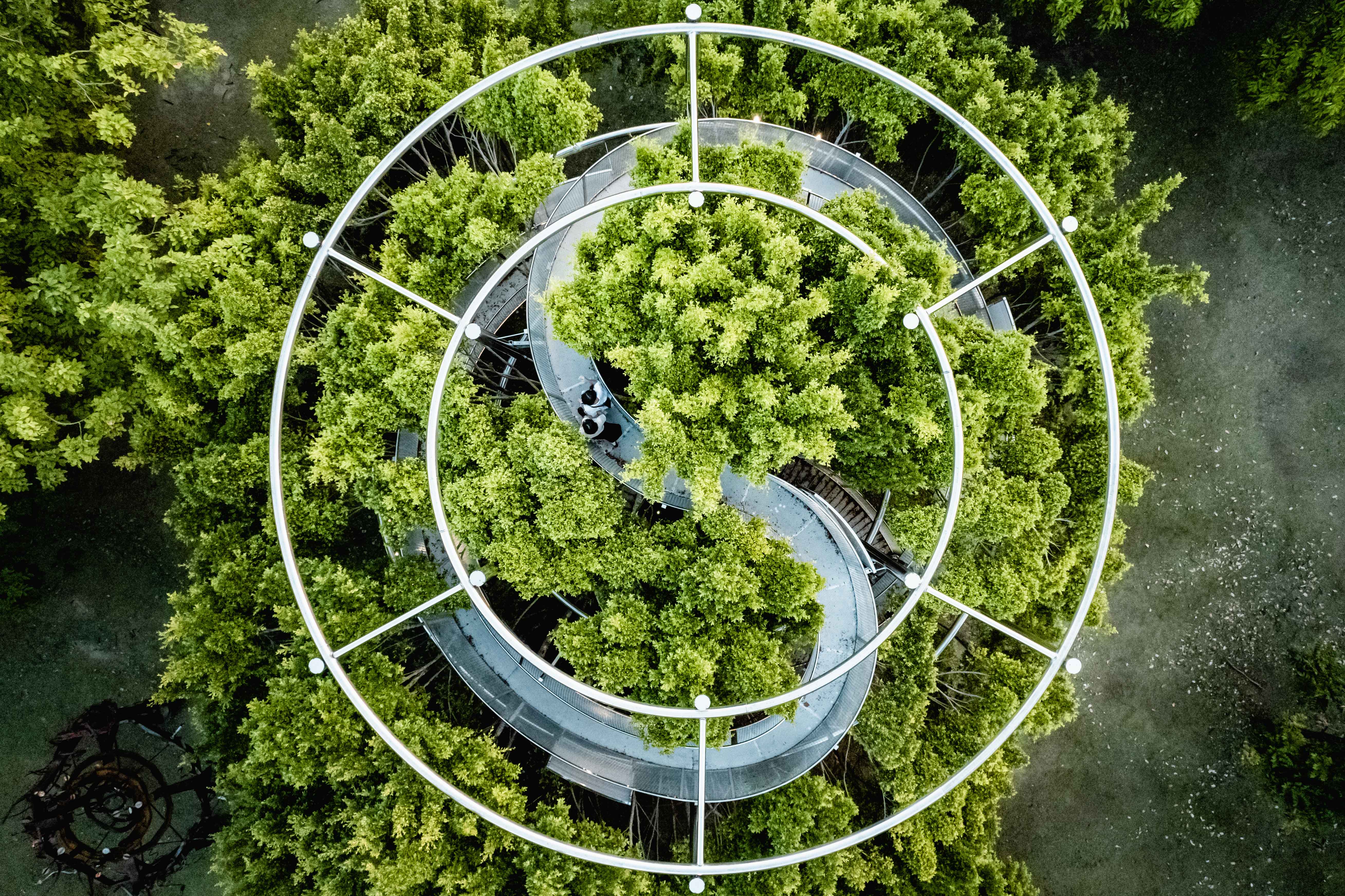 駁二大義公園「大樹宇宙」，設計360度環景作品新體驗...