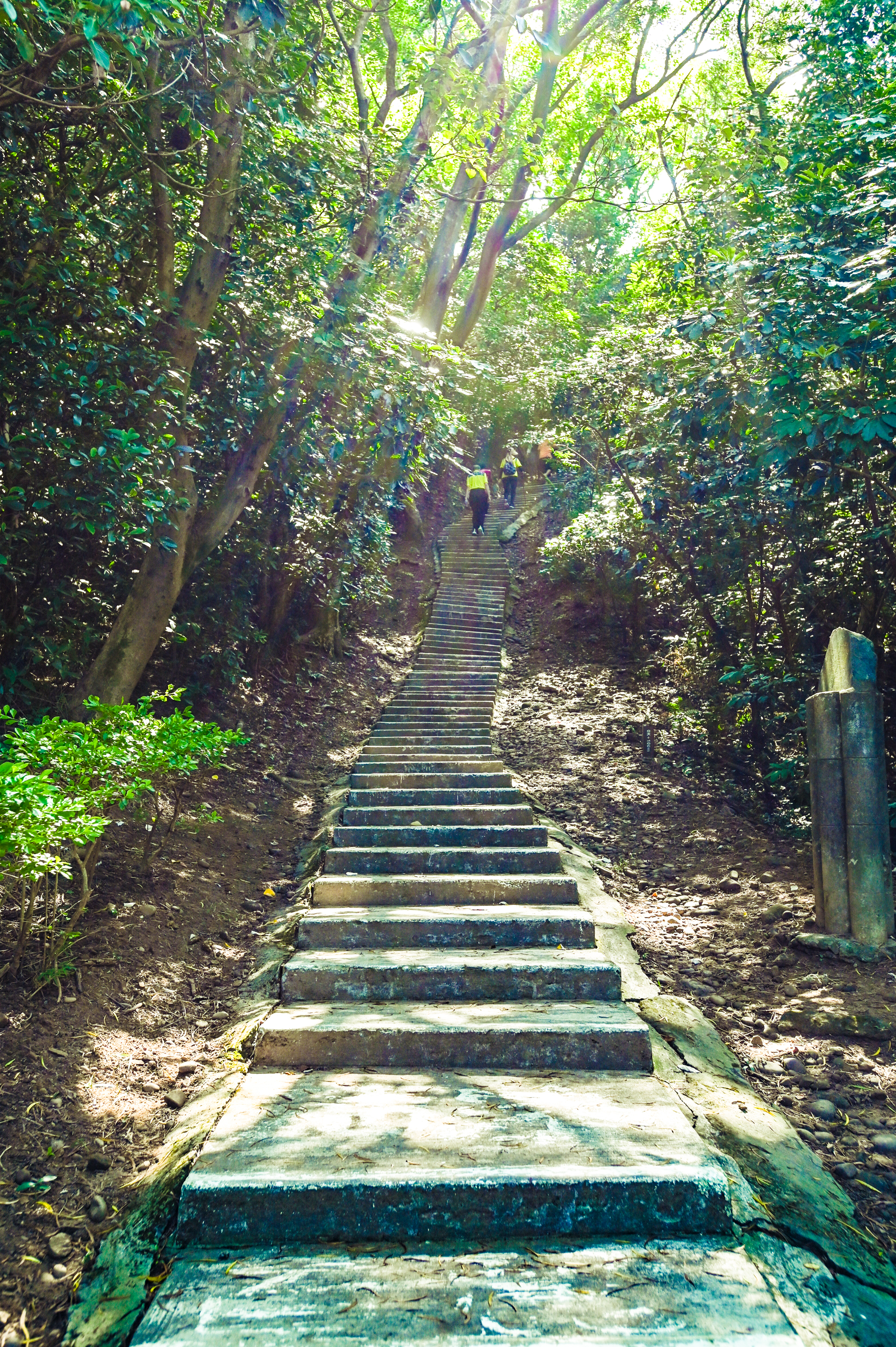 蘆竹五酒桶山手作步道啟用  採生態工法降低自然衝擊  票選命名為「自然野徑」