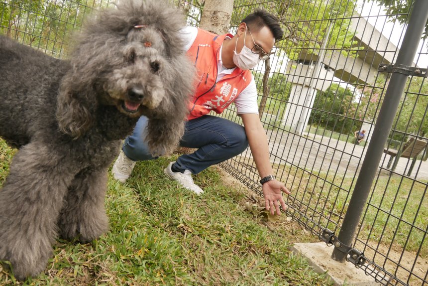 寵物公園重要性與日俱增  各區議員候選人高度關注...