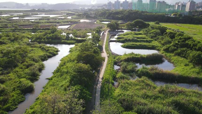 關渡自然公園生態保育受國際肯定  獲國際濕地網絡評選為...