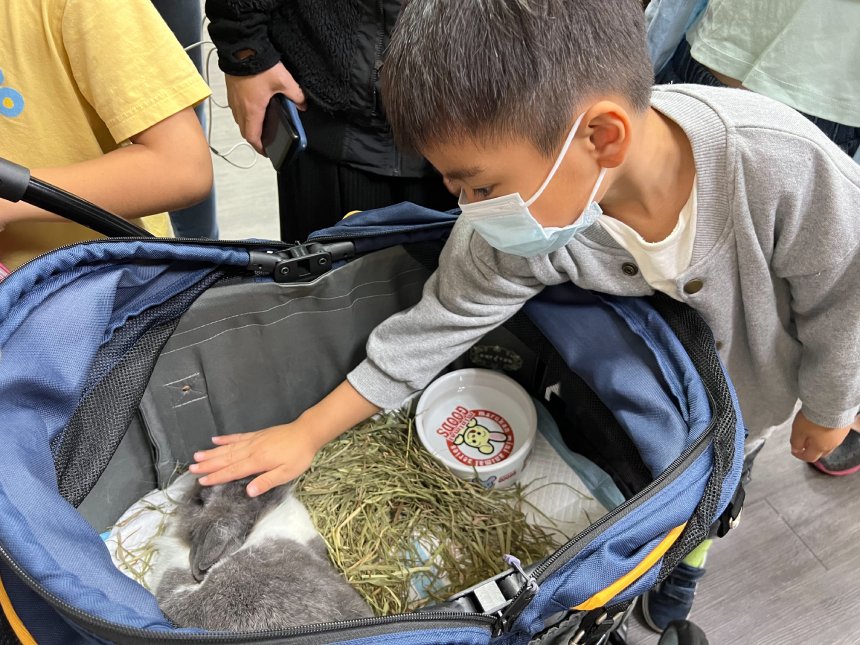 毛寶貝生命教育園區推特殊寵物照護課程  龜兔飼養有一套...