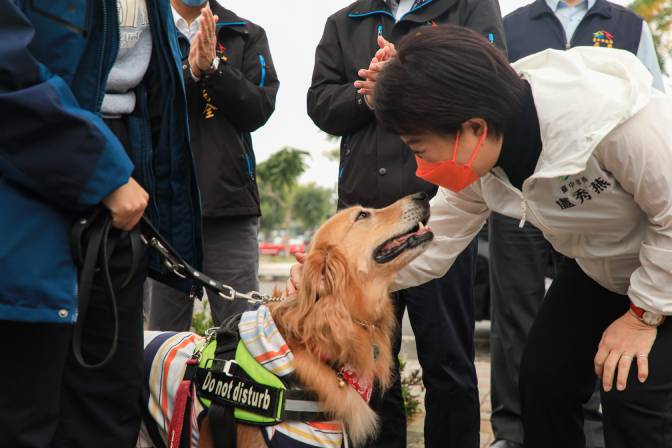 毛孩過年免煩惱  中市動物醫院寵物業者不打烊...