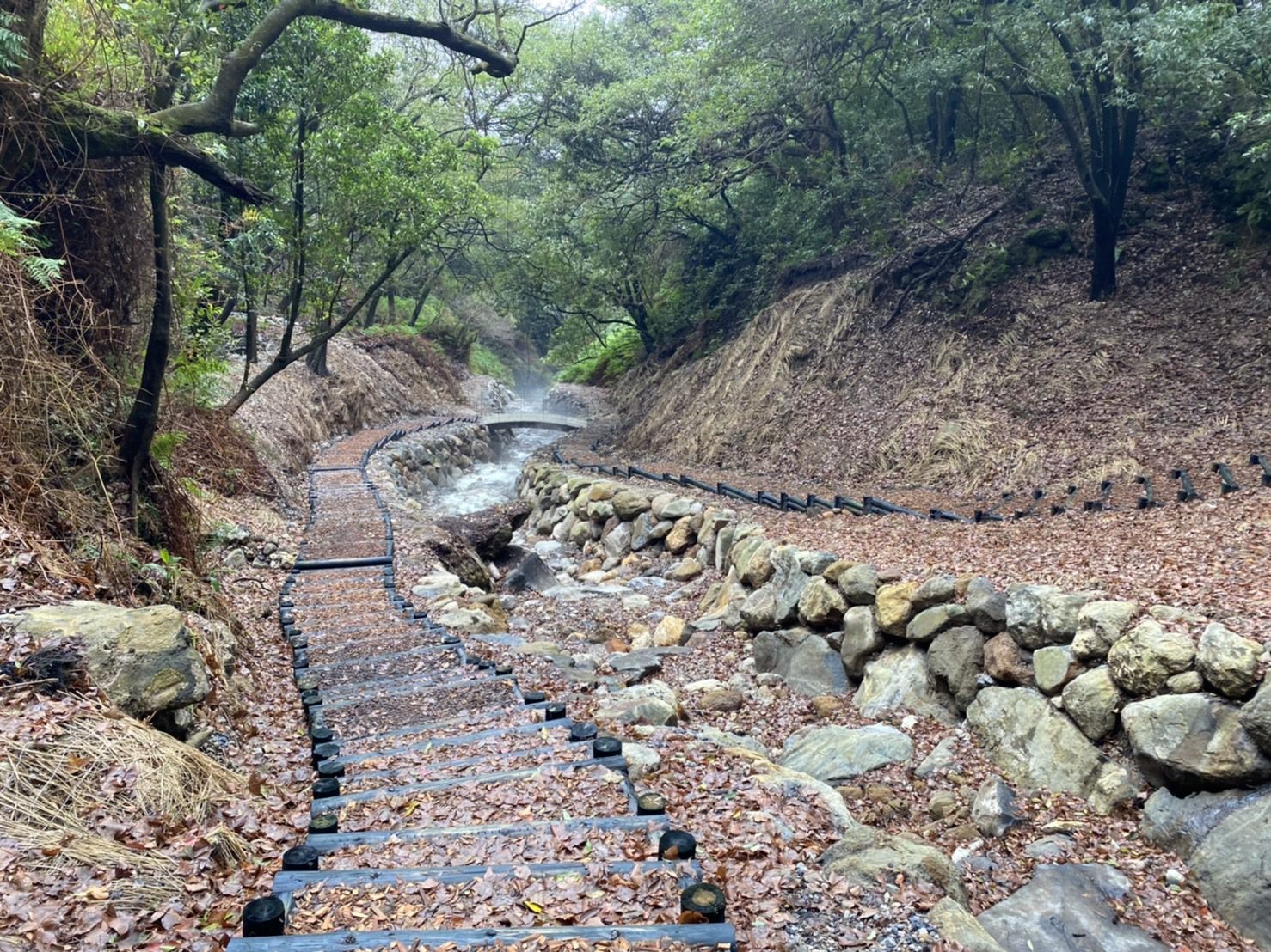 春暖花開走山林  賞櫻尋幽訪紫明...