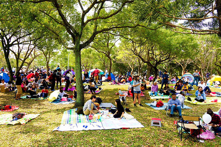 2023台北花節「花伴野餐」3/18登場！到大安森林公園賞花去...