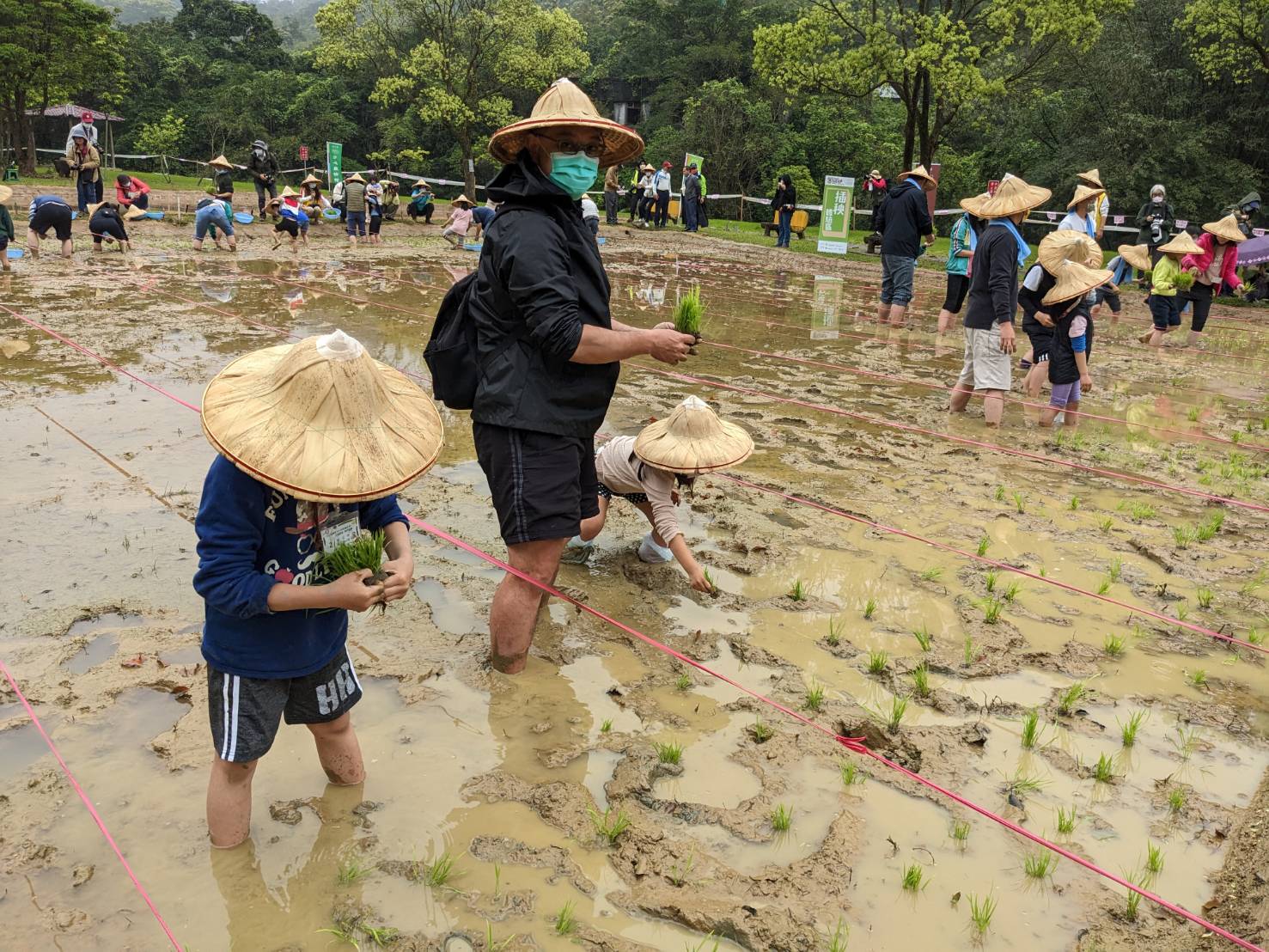 汐止區農會舉辦插秧體驗趣 公益認稻做愛心...