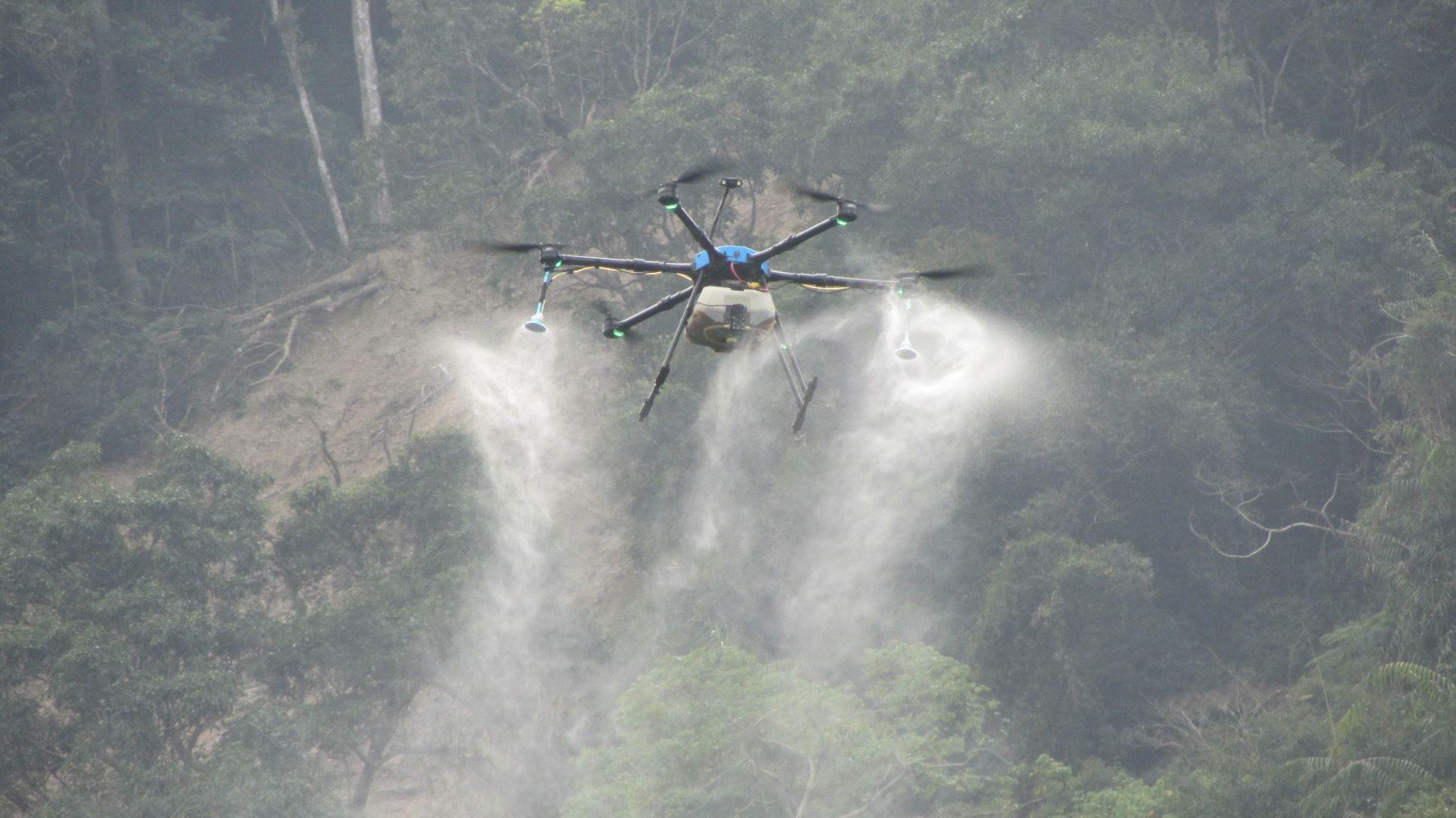 新北陸海空植樹啟動　造林復育無死角...