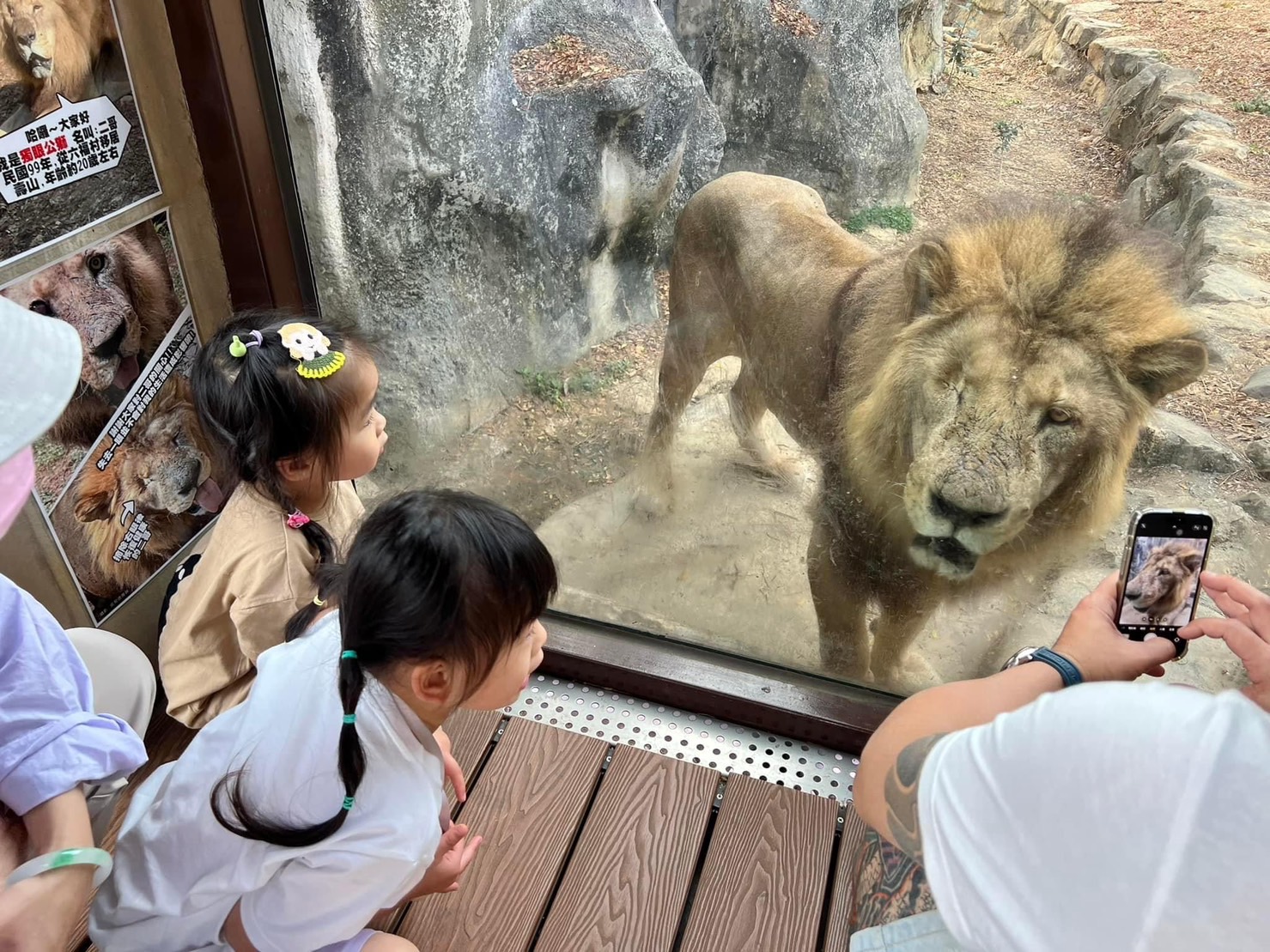 兼具動物保育與生命教育 壽山動物園REOPEN四個月突破50萬人次