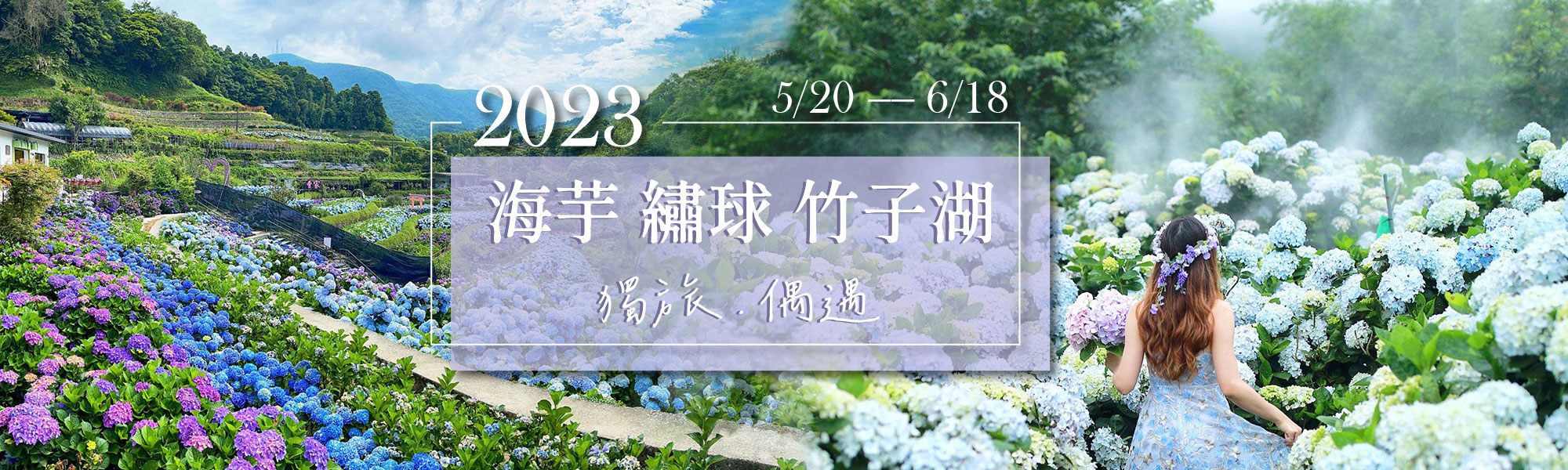 「2023竹子湖繡球花季」520浪漫開跑！...