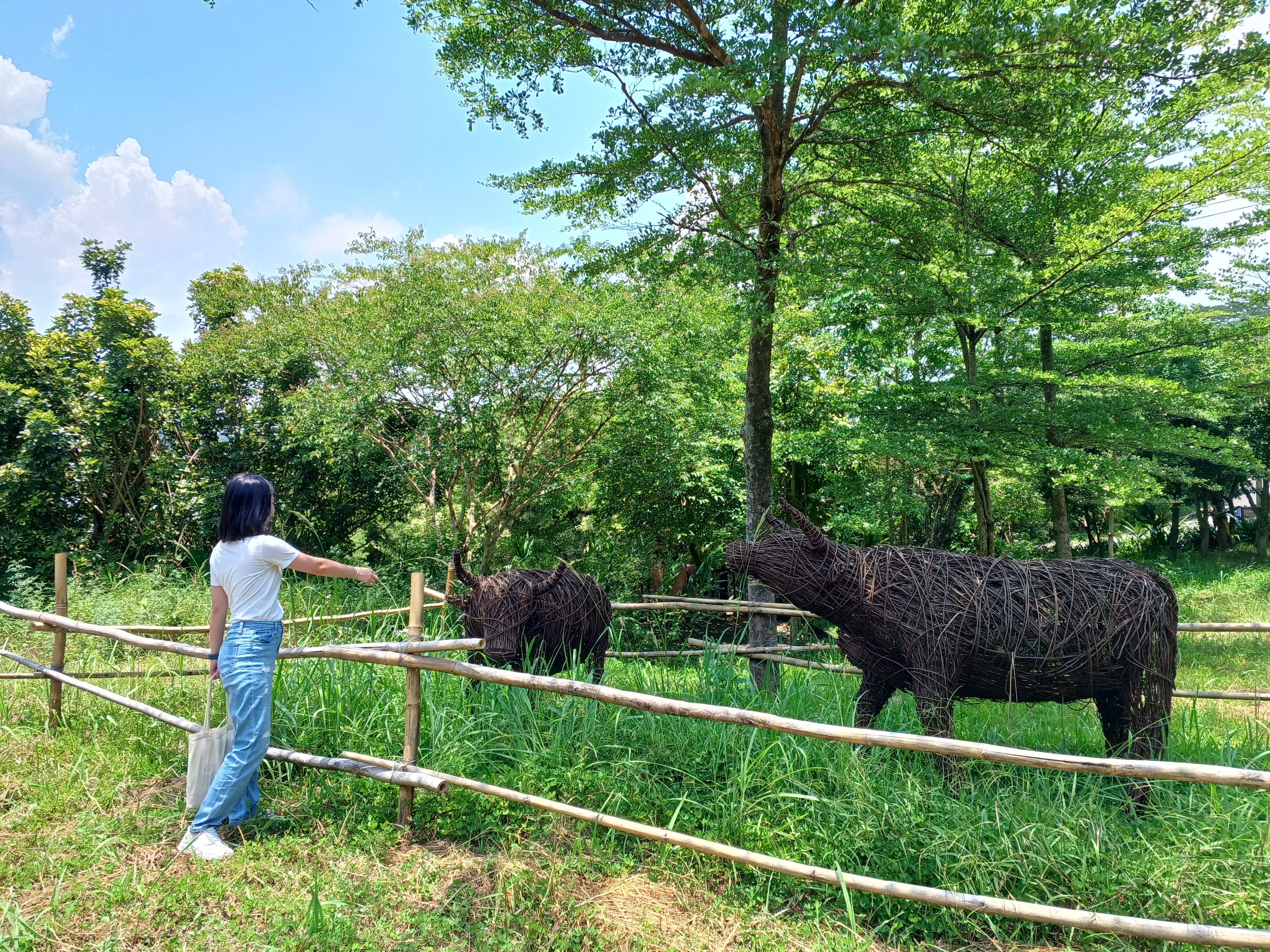 來去臺北舊莊FUN暑假!里山茶村探索之旅...