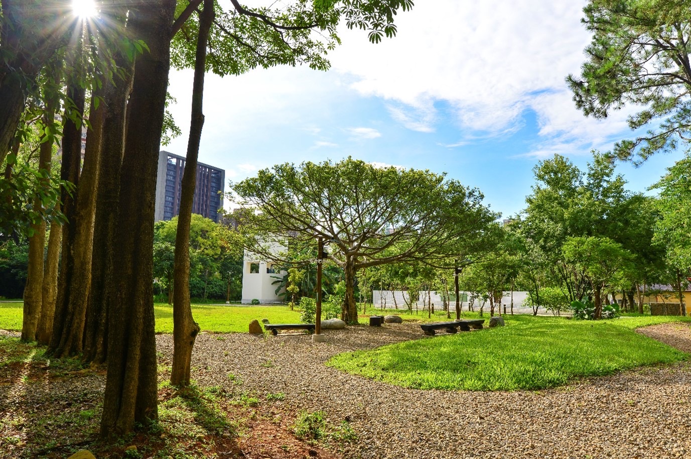 八德之肺！大湳森林公園開園  保留自然生態成為桃園新亮...