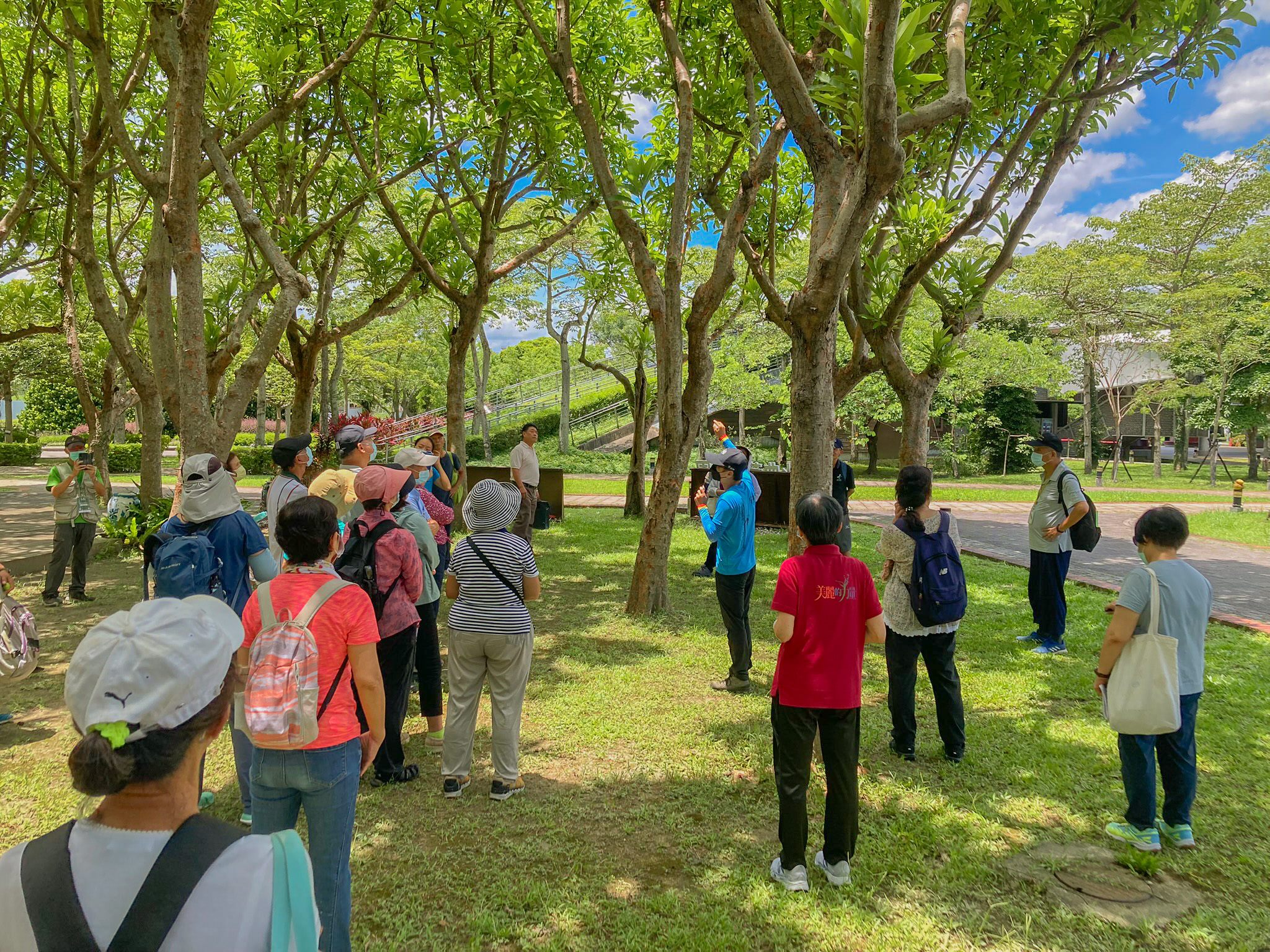 共享攀樹師視野   典藏植物園開課樹藝交流...