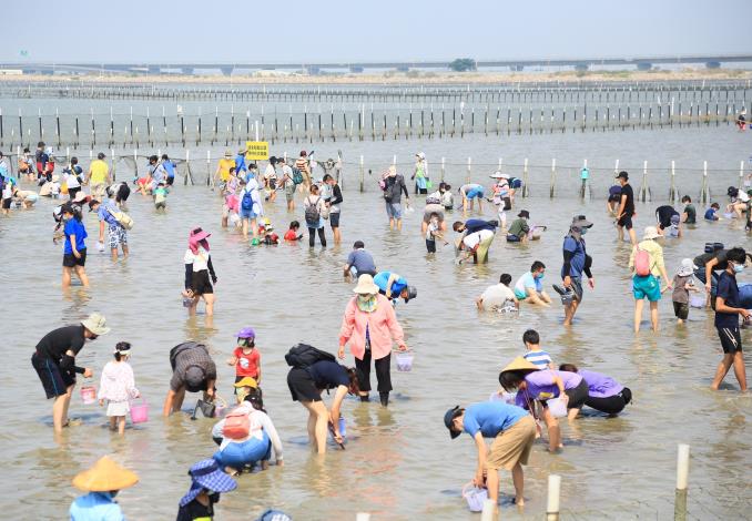 七股「觀光赤嘴園挖文蛤體驗」 開放線上報名...