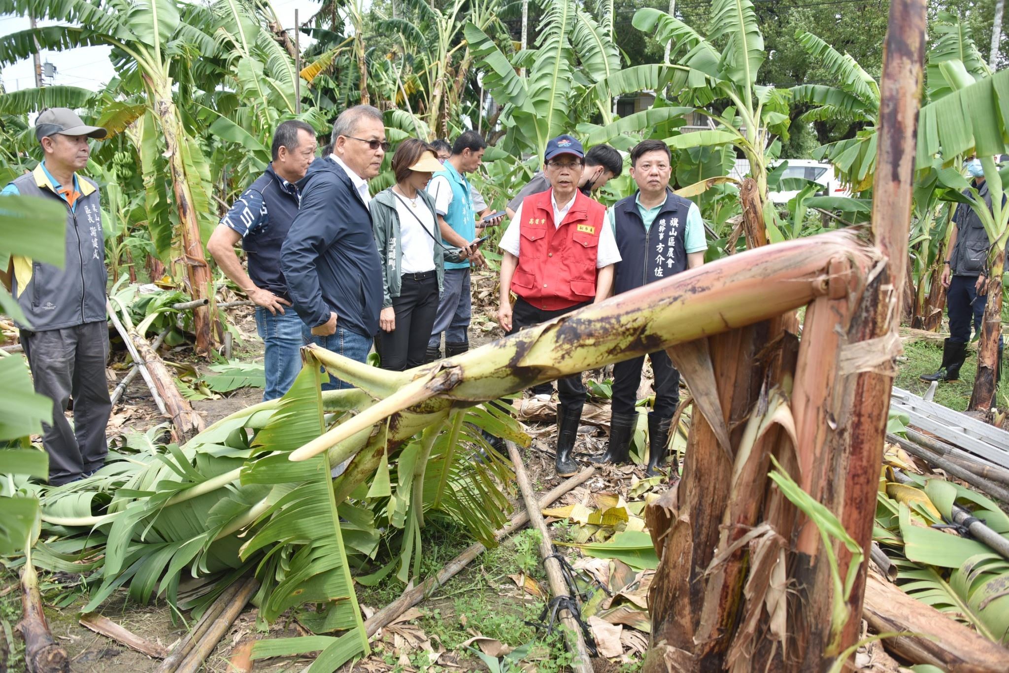 颱風農作受災  從速從寬從優查報農損