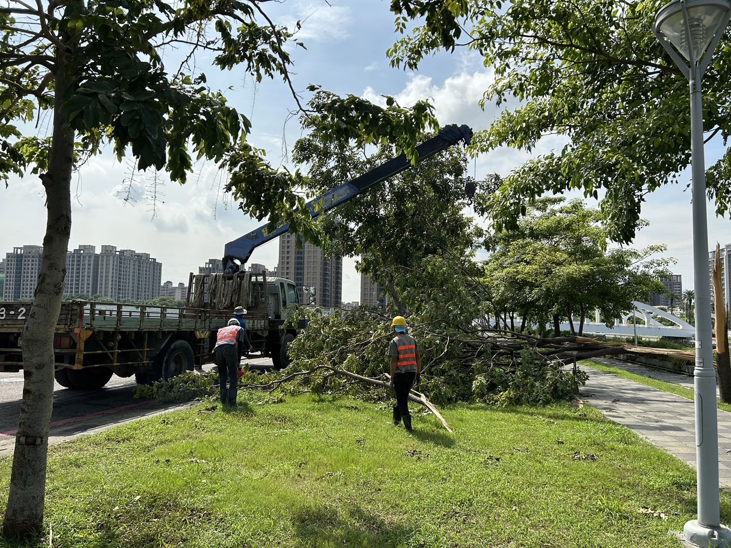 高雄積極恢復風災後市容與交通