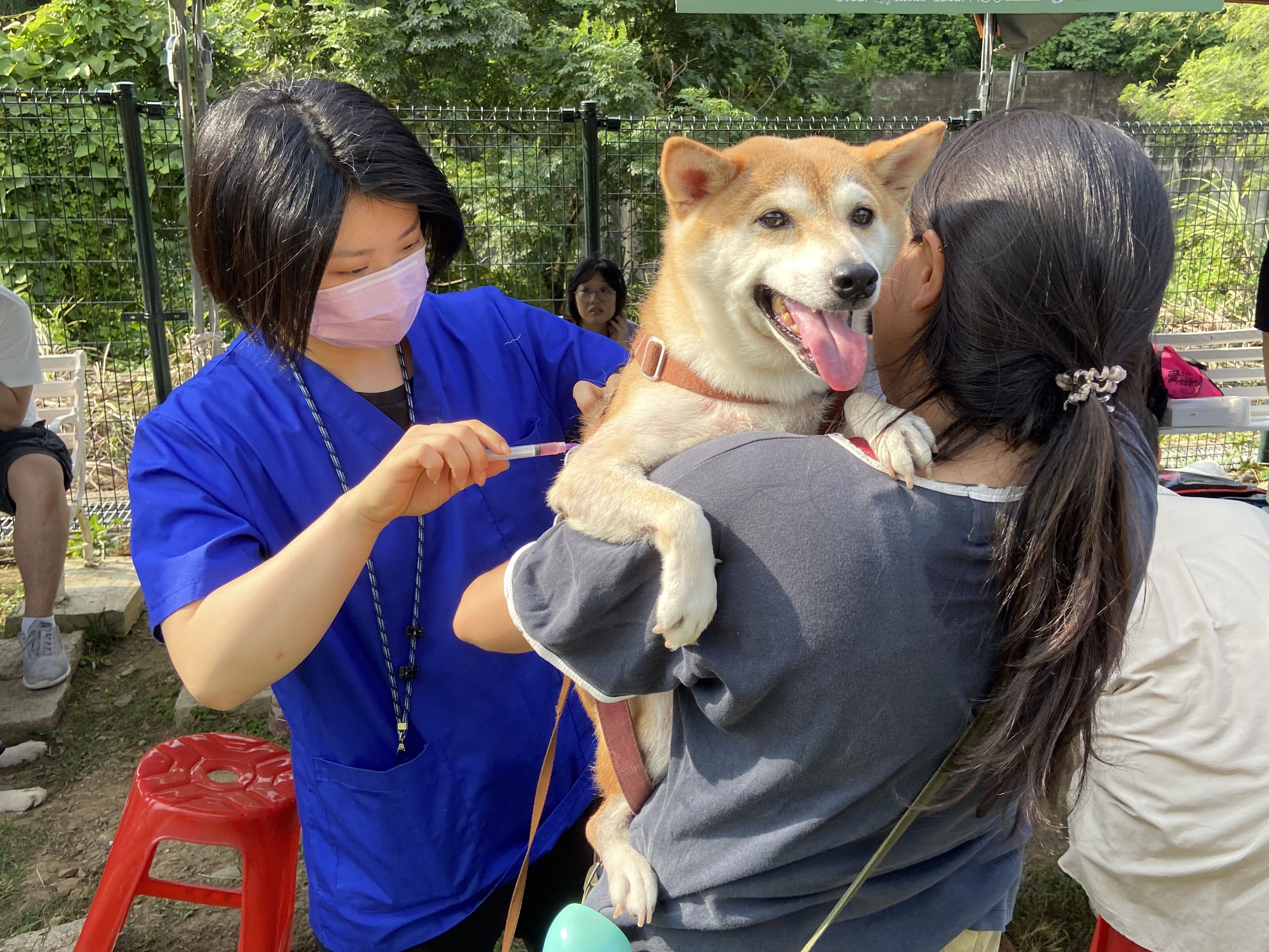 「2023臺北動保教育月  毛孩健康同樂會」響應928世界狂犬病...