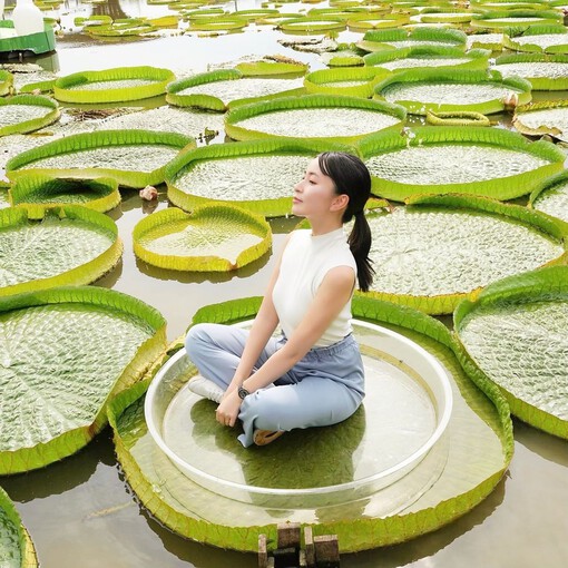 桃園攜手多國網紅   規劃旅遊實境節目推觀光...