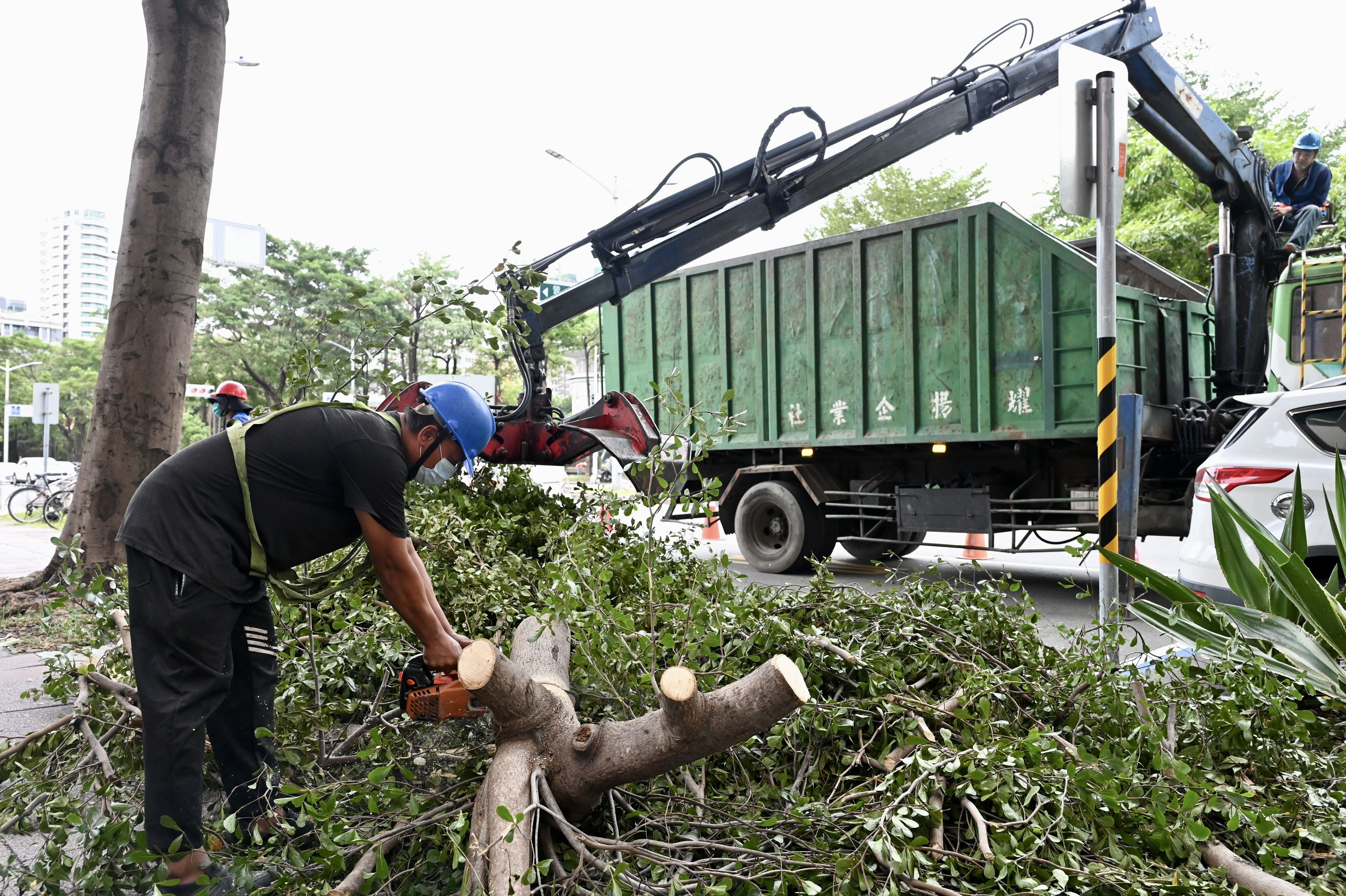 陳其邁市長視察市容清理作業   加速排除路樹障礙