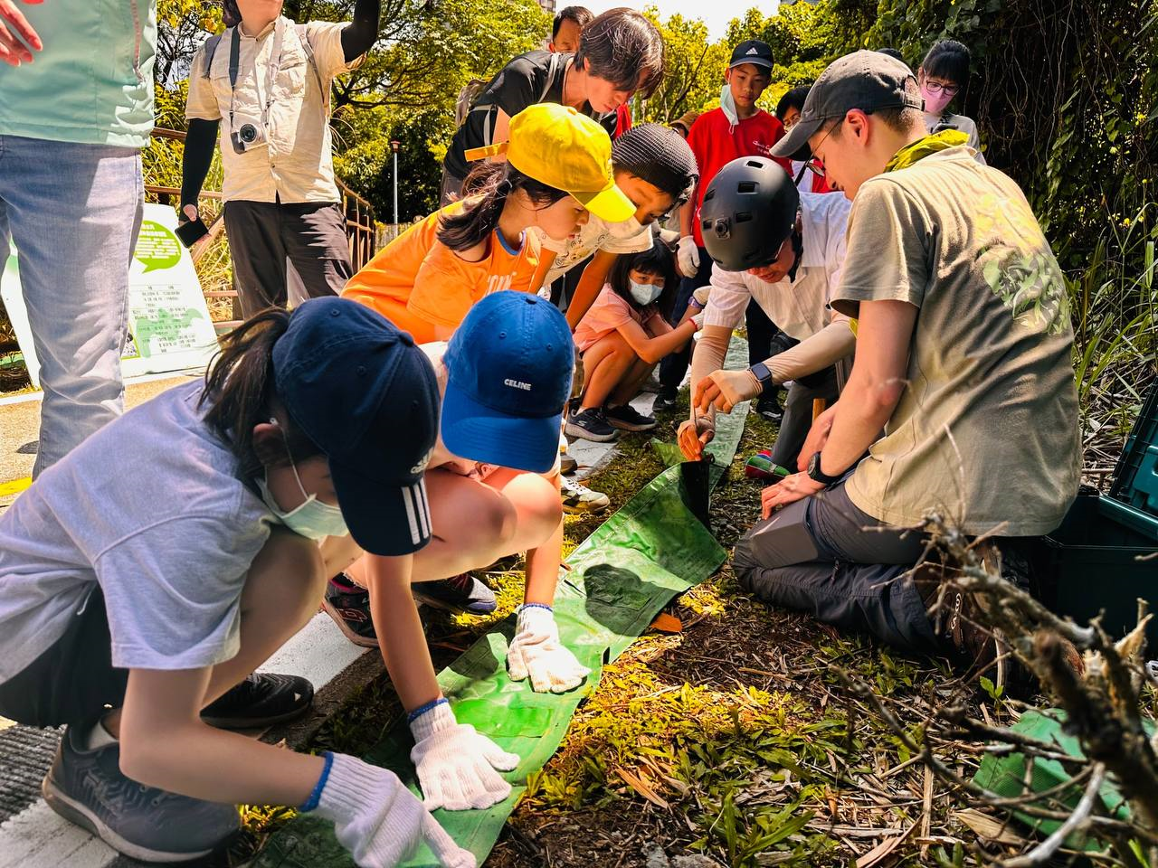 「無齒螳臂蟹」濕地水岸第一排小小住宅區...