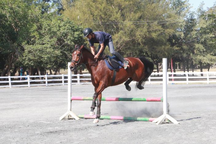 推廣馬術運動風氣  臺南國際標準馬術場啟用...