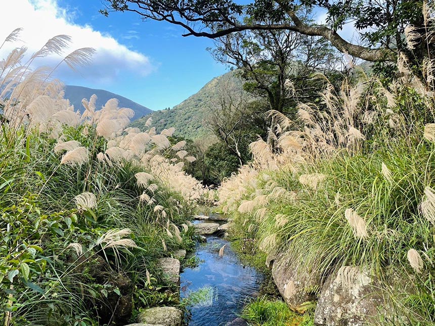 春遊陽明溪  台北後山微旅行...