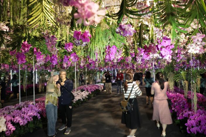 全球蘭花界兩大盛事臺南揭幕 共同欣賞美麗多元的蘭花與燈花