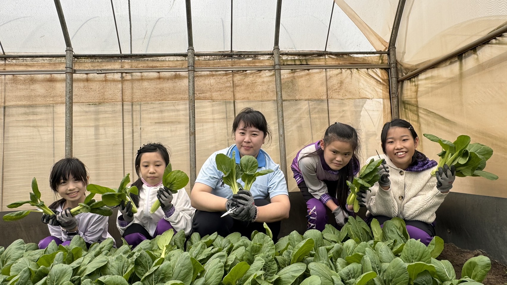 新北青農推食農教育 種有機蔬菜回饋社會