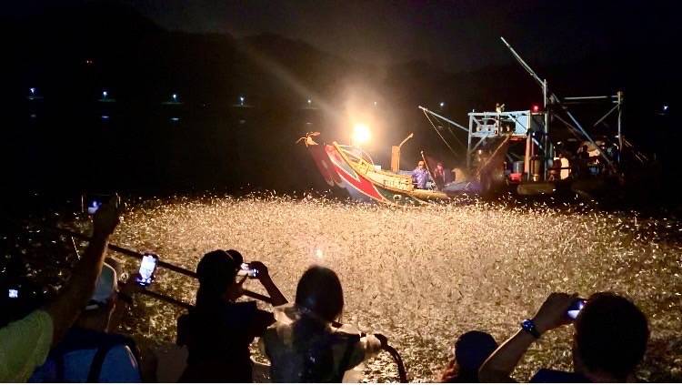 金山八景「蹦火仔」 一睹北海岸海上星光...