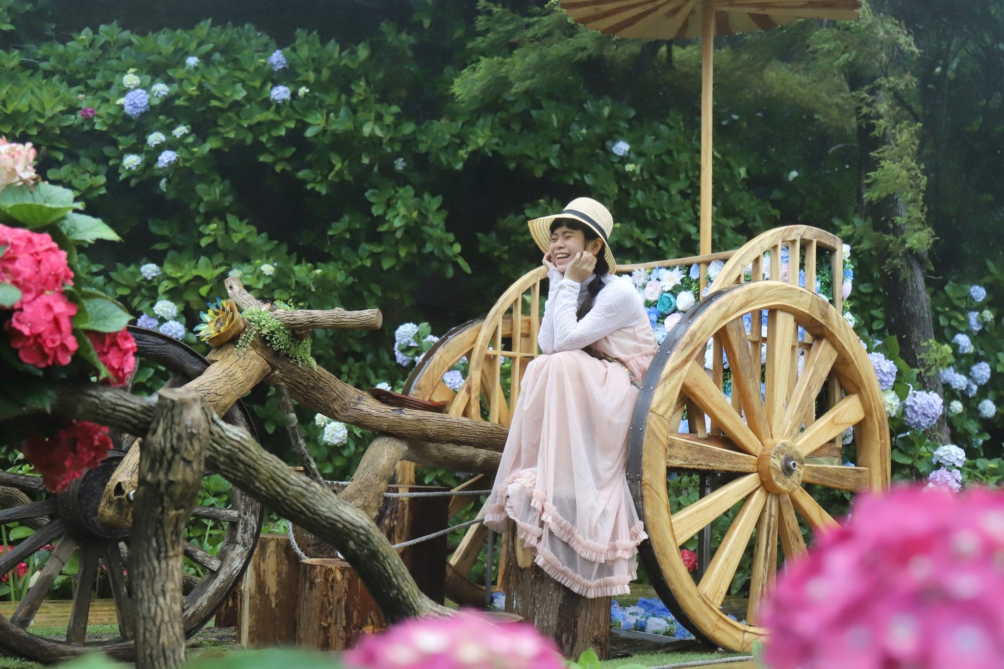 竹子湖繡球花季好康快閃活動  多處地景藝術報你知...