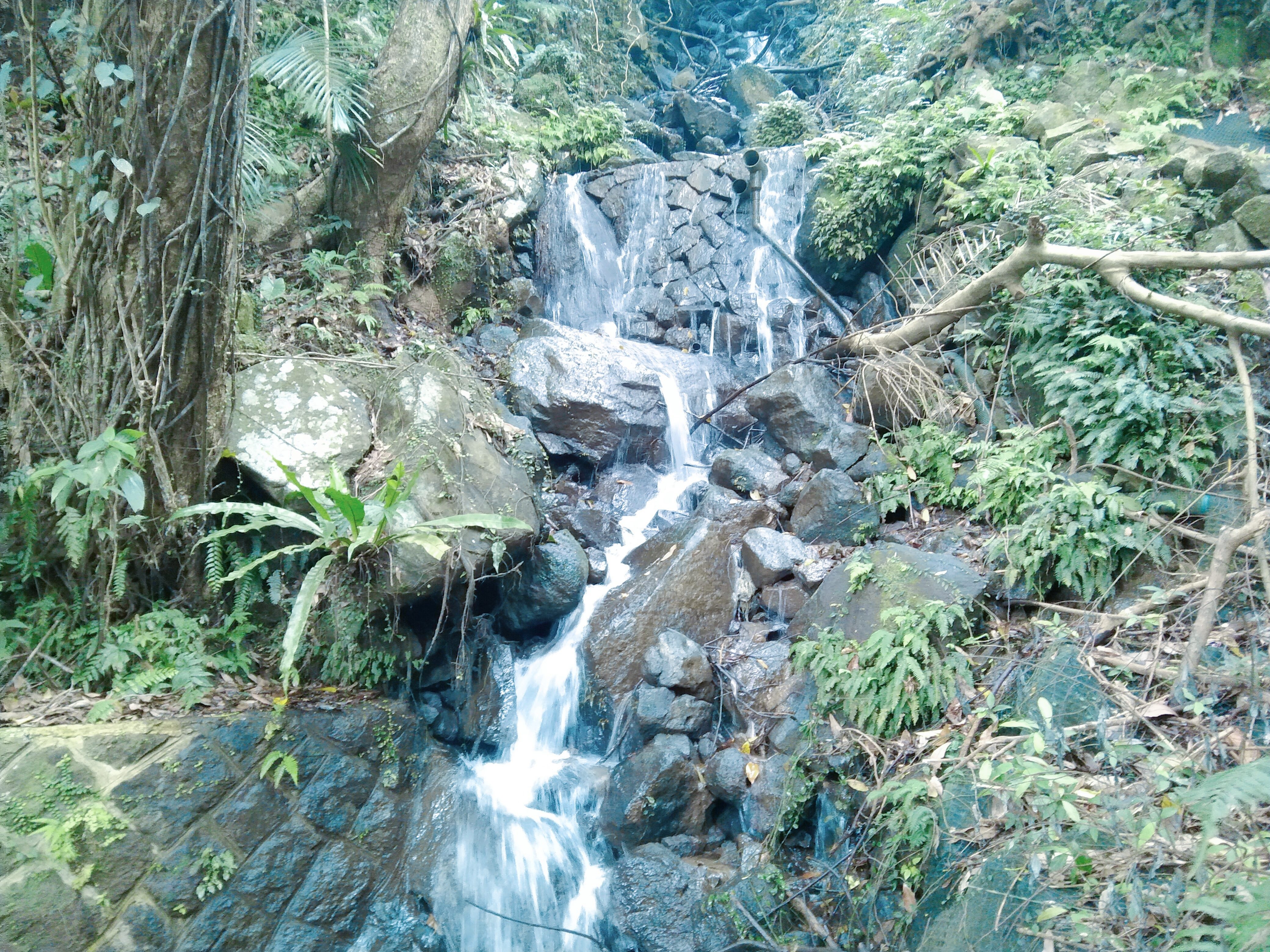 古圳巡禮輕旅行  探索農村水源路風貌...